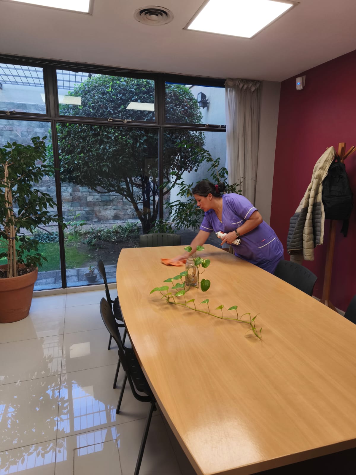 Servicio de limpieza doméstica profesional en Neuquén por Dextra Servicios